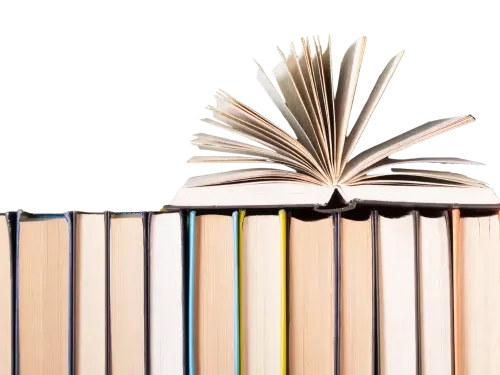 PISA Wijs in Nederlands